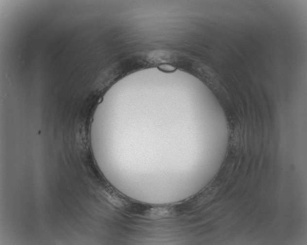 X0000067000418200604142304