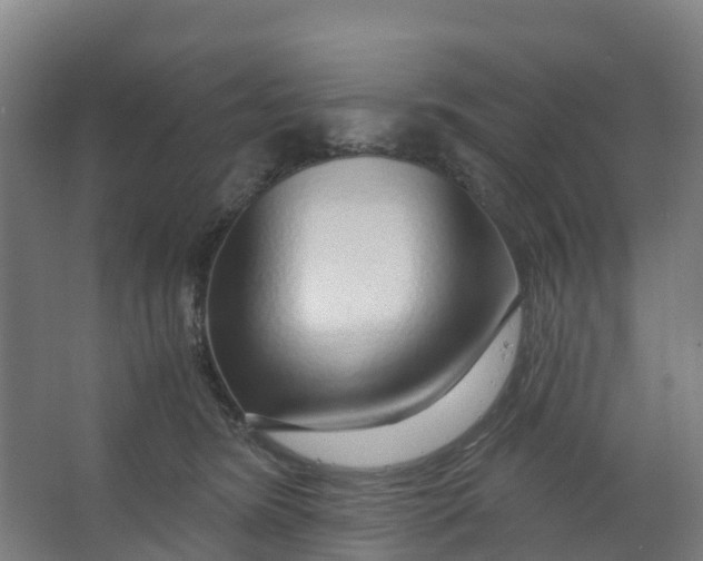 X0000067000420200604142304