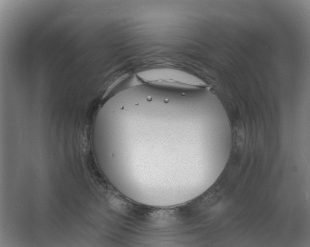 X0000067000422200604142304