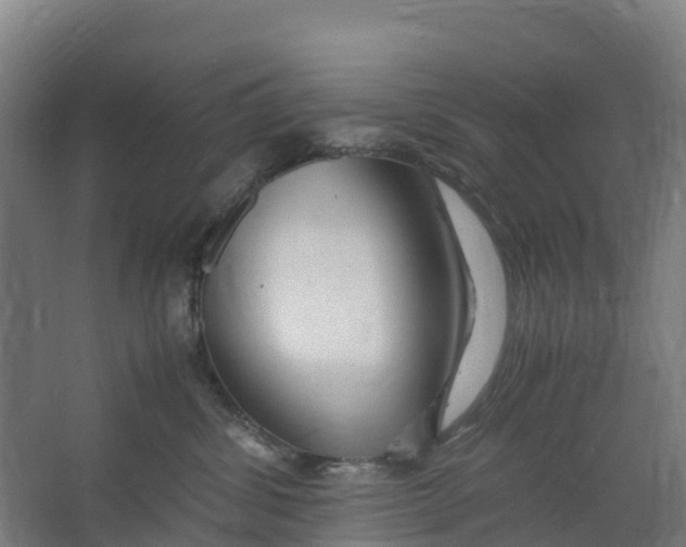 X0000067000428200604142304