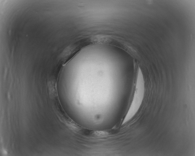 X0000067000429200604142304