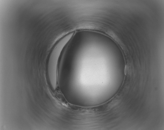 X0000067000434200604142303