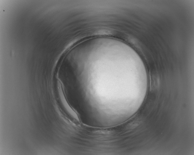 X0000067000435200604142303