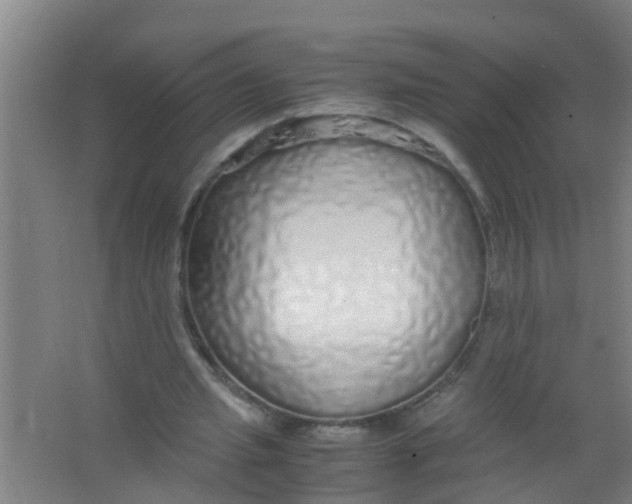 X0000067000437200604142303