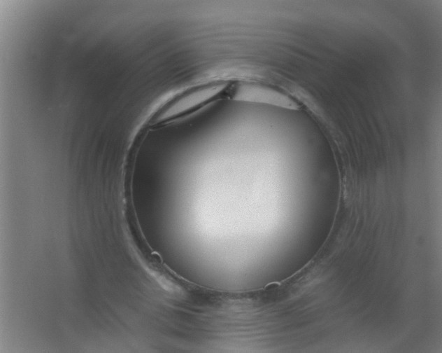 X0000067000438200604142303