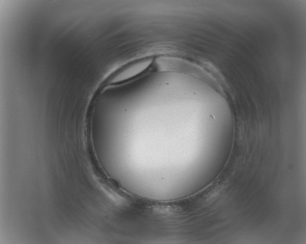 X0000067000439200604142303