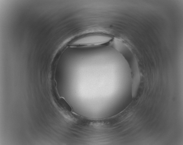 X0000067000440200604142303