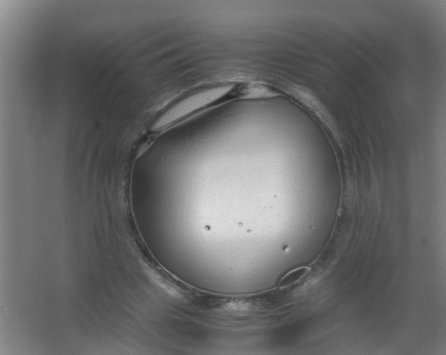 X0000067000441200604142303