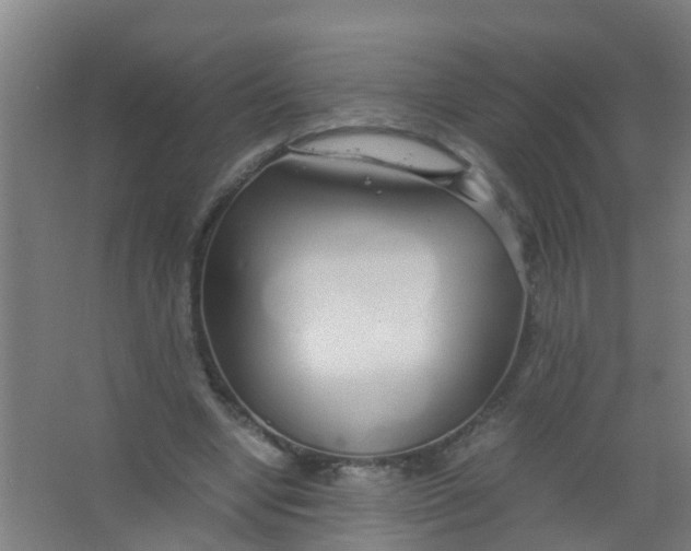 X0000067000442200604142303