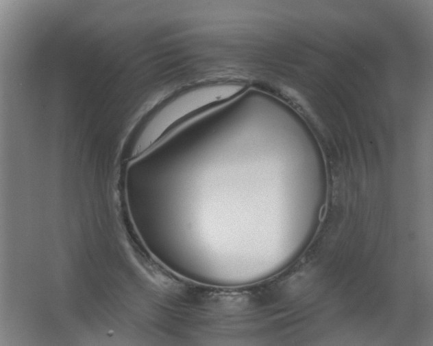 X0000067000443200604142303