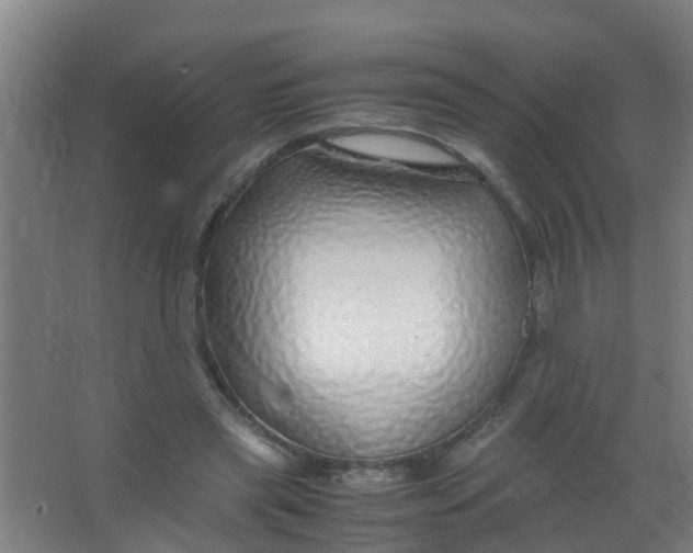 X0000067000445200604142303