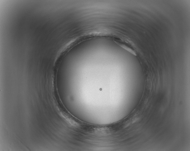 X0000067000446200604142303