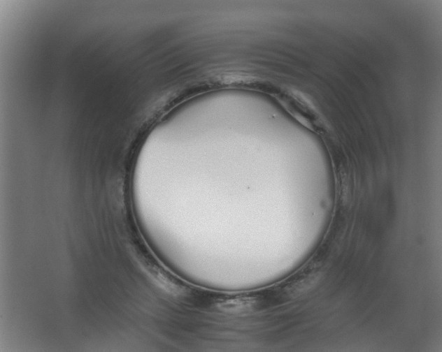 X0000067000447200604142303