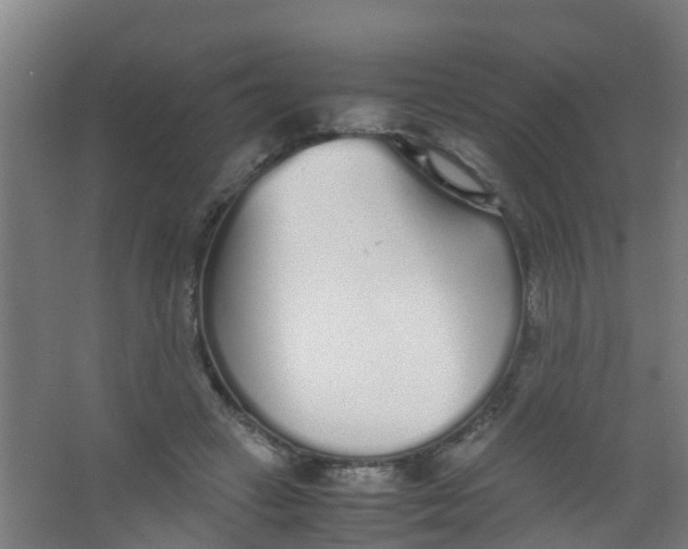 X0000067000449200604142303