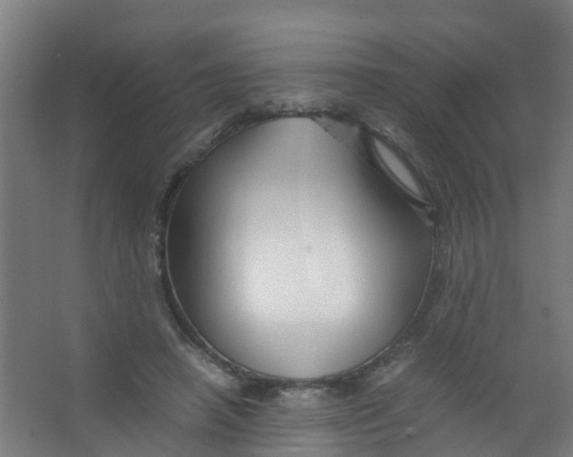 X0000067000450200604142303