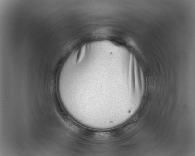 X0000067000451200604142303