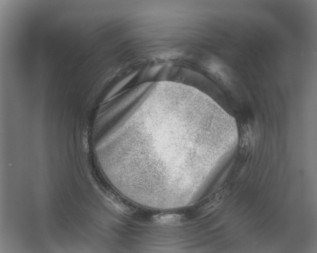 X0000067000452200604142303