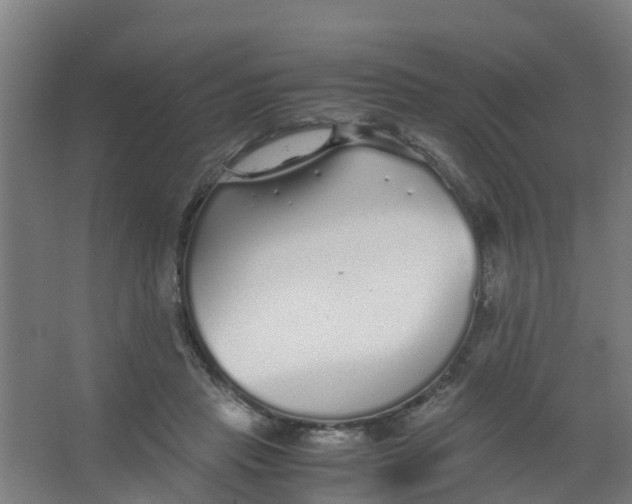 X0000067000453200604142303