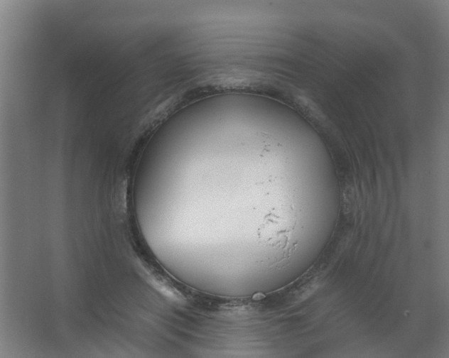 X0000067000454200604142303