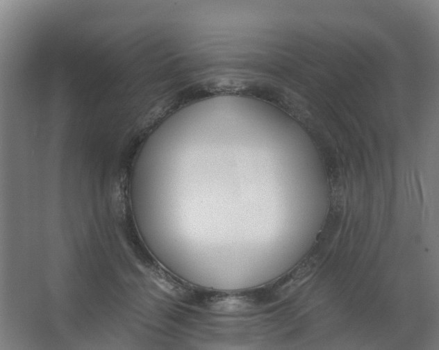 X0000067000460200604142303