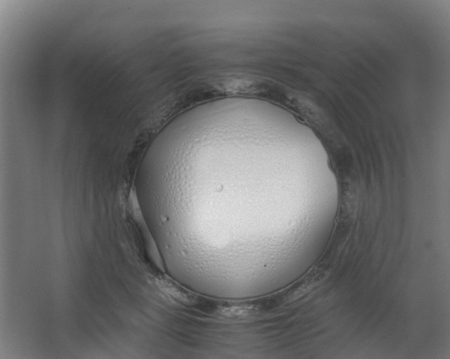 X0000067000461200604142303