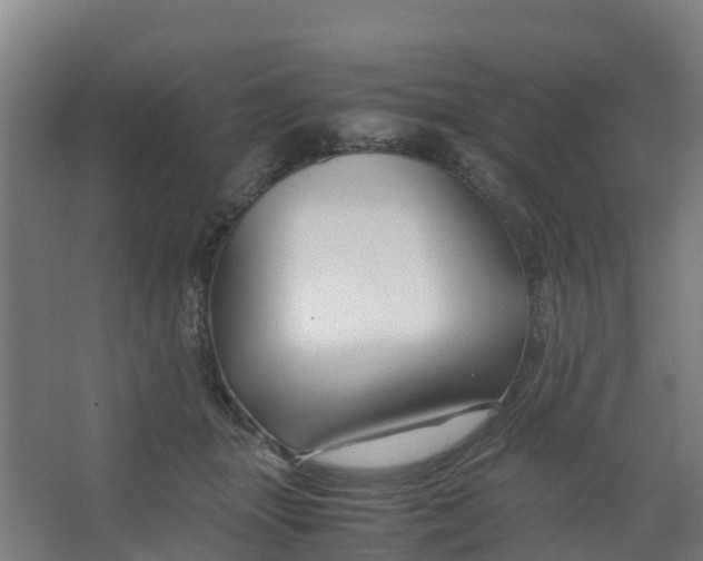 X0000067000463200604142303