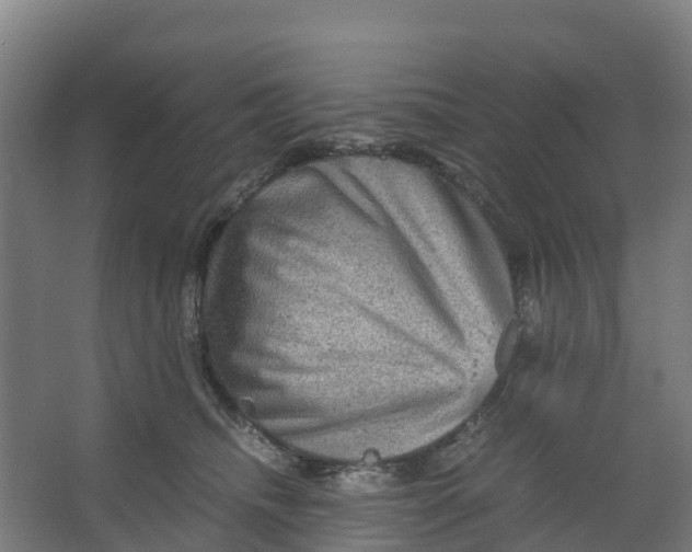 X0000067000468200604142303