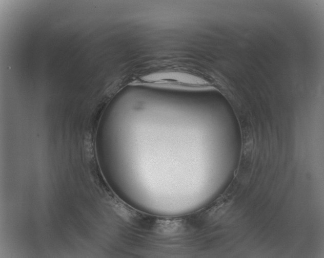 X0000067000469200604142303