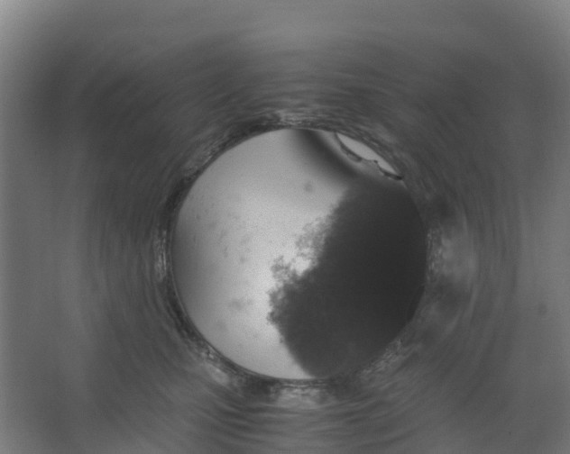 X0000067000471200604142303