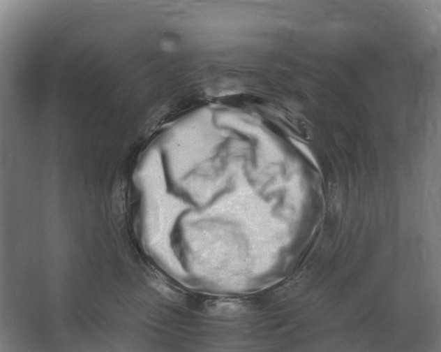 X0000067000475200604142303