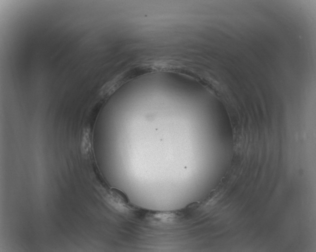 X0000067000478200604142303