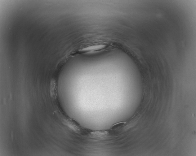 X0000067000480200604142304