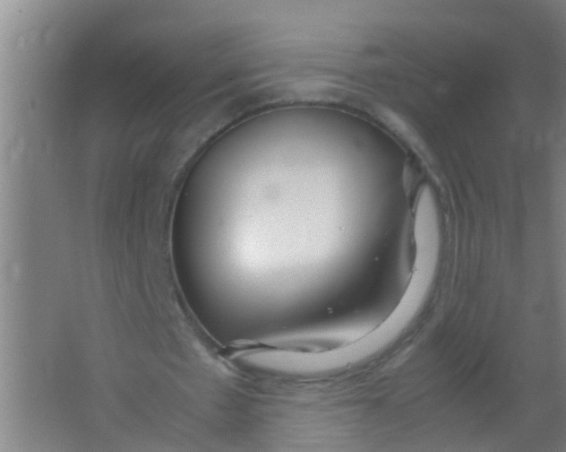 X0000067000481200604142303