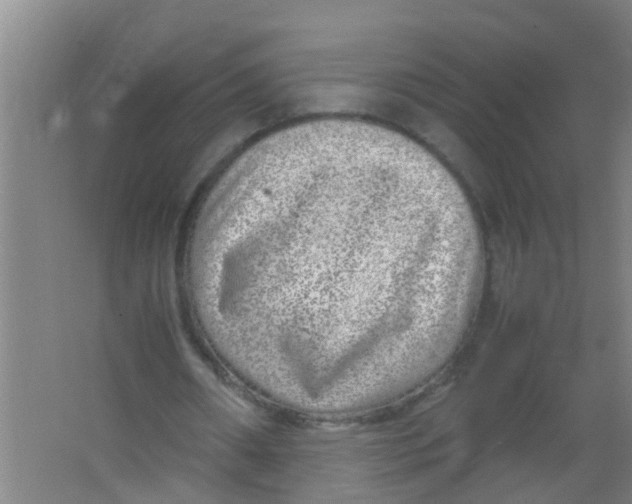 X0000067000482200604142303