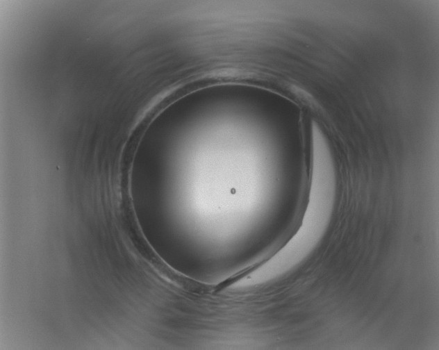 X0000067000484200604142303