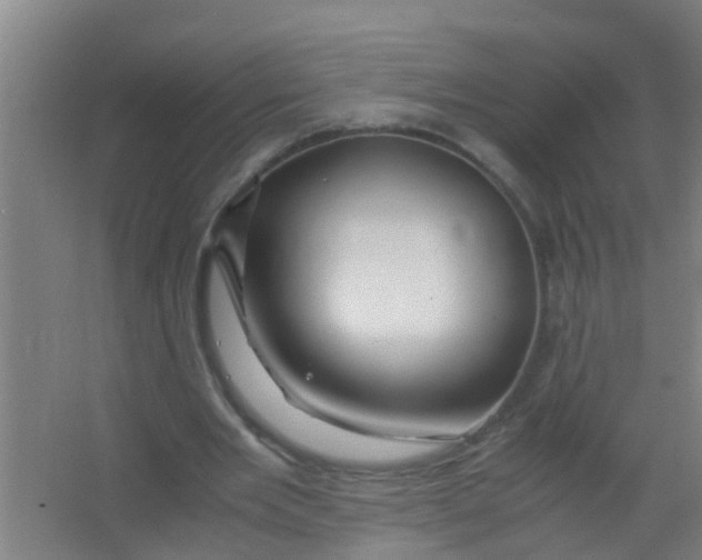 X0000067000485200604142303