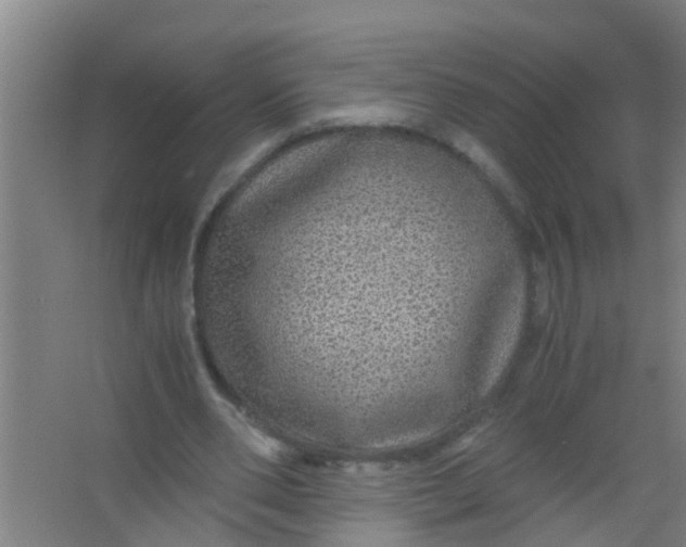 X0000067000486200604142303