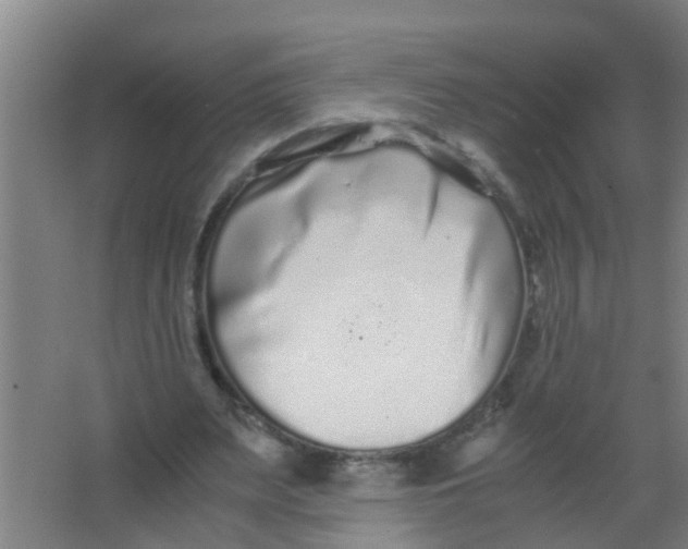 X0000067000487200604142303