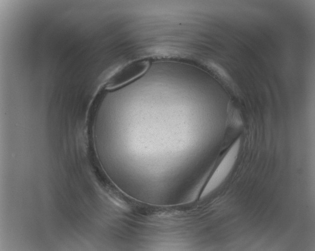 X0000067000488200604142303