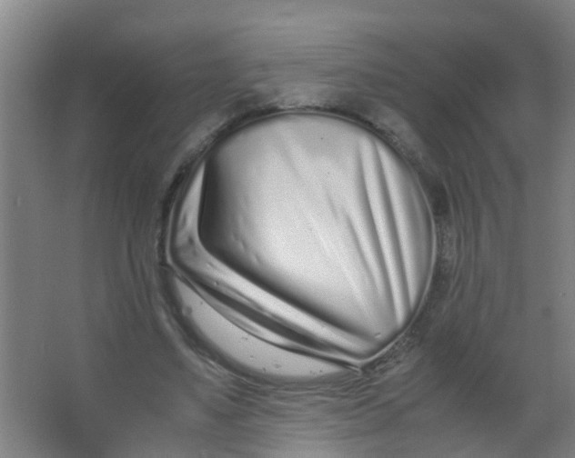 X0000067000491200604142303