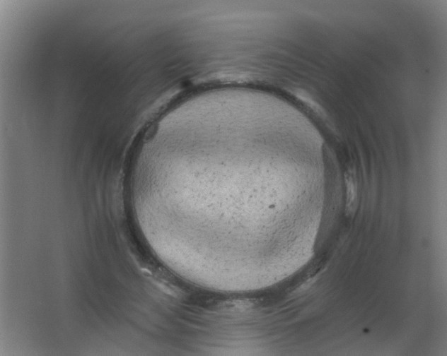 X0000067000492200604142303