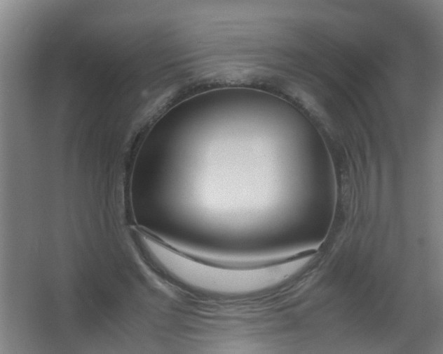 X0000067000493200604142303