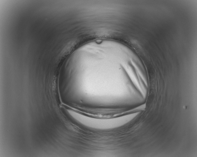 X0000067000495200604142302