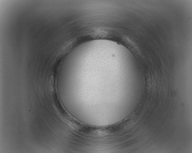 X0000067000498200604142302