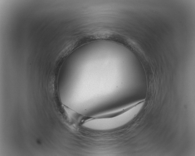 X0000067000501200604142302