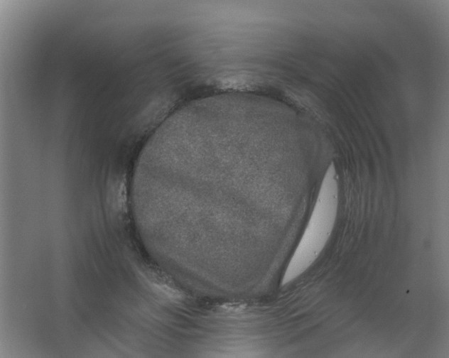 X0000067000502200604142302