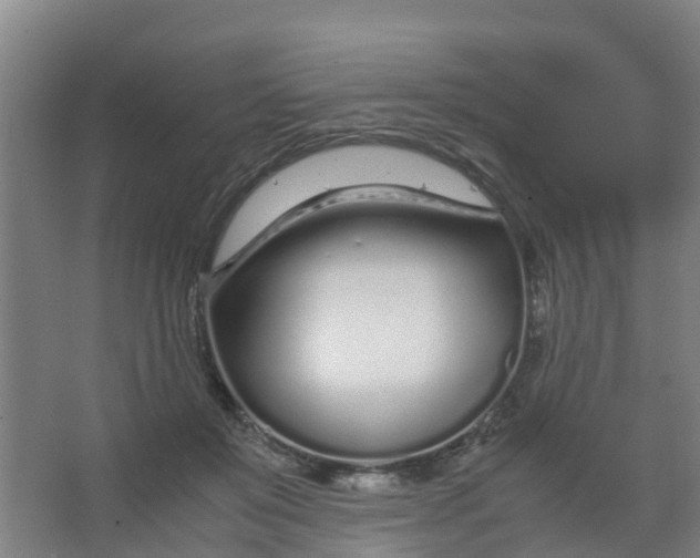 X0000067000503200604142302