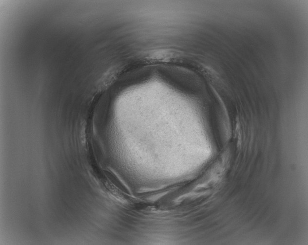 X0000067000504200604142302