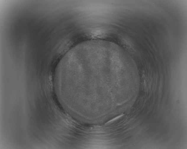 X0000067000506200604142302