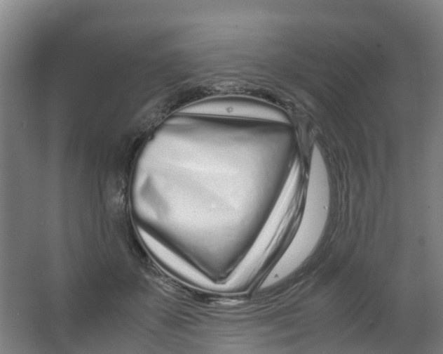 X0000067000507200604142302